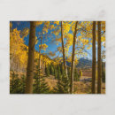 Suche nach gebirge postkarten Wald