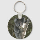Suche nach niedliche koala schlüsselanhänger Australien