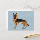 Suche nach schäferhunde postkarten Gsd