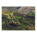 Suche nach yunnan postkarten Hang