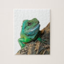 Suche nach leguan puzzle Reptil