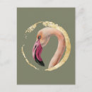 Suche nach tierliebhaber postkarten Für alle