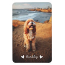 Suche nach stilvoll magnete Niedlich