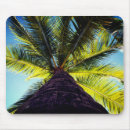 Suche nach palme mousepads Bahamas