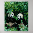 Suche nach essen poster Nahrung