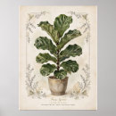 Suche nach geiger poster Botanisch