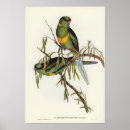 Suche nach parakeet kunst Vintag