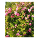 Suche nach blüte fotodruck Blumenreich