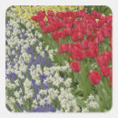 Suche nach keukenhof aufkleber Park
