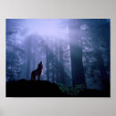 Suche nach bedrohte tiere poster Wolf
