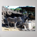 Suche nach lebensraum poster Tiere