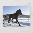 Suche nach skandinavische postkarten Schweden