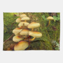 Suche nach pilz geschirr tücher Natur