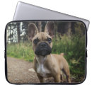 Suche nach doge laptop schutzhüllen Hund