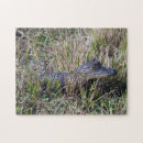 Suche nach alligator puzzle Baby