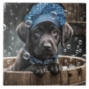 Suche nach schwarzer labrador fliesen Welpe