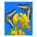 Suche nach erweiterung poster Tierwelt