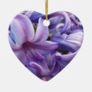 Suche nach hyazinthen ornamente Blume