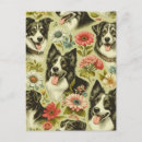 Suche nach collies postkarten Retro