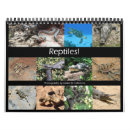 Suche nach reptil kalender Eidechse