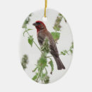 Suche nach rote vögel ornamente Land