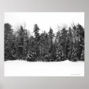 Suche nach winterbaum poster Jahreszeit