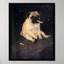 Suche nach lustiger mops poster Hund