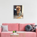 Suche nach yorkshire leinwandbilder Yorkie