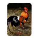 Suche nach galo magnete Galerie