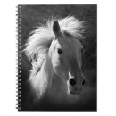 Suche nach weiße pferde kleine notizbücher Fotografie
