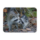 Suche nach erwachsen magnete Jung