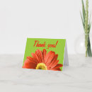 Suche nach roter gerbera karten Durchtränkt