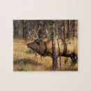 Suche nach stier puzzle Feld