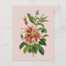 Suche nach tapisserie postkarten Blumenreich