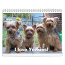 Suche nach yorkie kalender Hund
