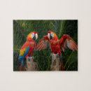Suche nach ara puzzle Regenwald