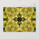 Suche nach primel postkarten Mit blumen