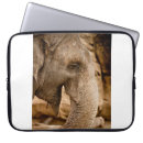 Suche nach elephant laptop schutzhüllen Wild