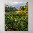 Suche nach sri lanka poster Natur