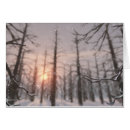 Suche nach winternacht karten Aquarell