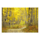 Suche nach kurvenreiche straße poster Herbst