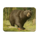 Suche nach baumstämme magnete Wild