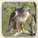 Suche nach falken untersetzer Raubvogel