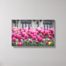 Suche nach bunte tulpen leinwandbilder Rosa