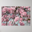 Suche nach rosa baum poster Frühling