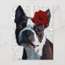 Suche nach boston terrier postkarten Steampunk