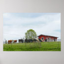 Suche nach rinder poster Texas