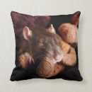 Suche nach ratte kissen Tiere