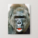 Suche nach lustiger gorilla buttons Für alle