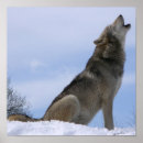 Suche nach howling wolf poster Winter